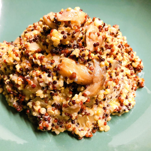 Cremiges Pilz-Quinoa
